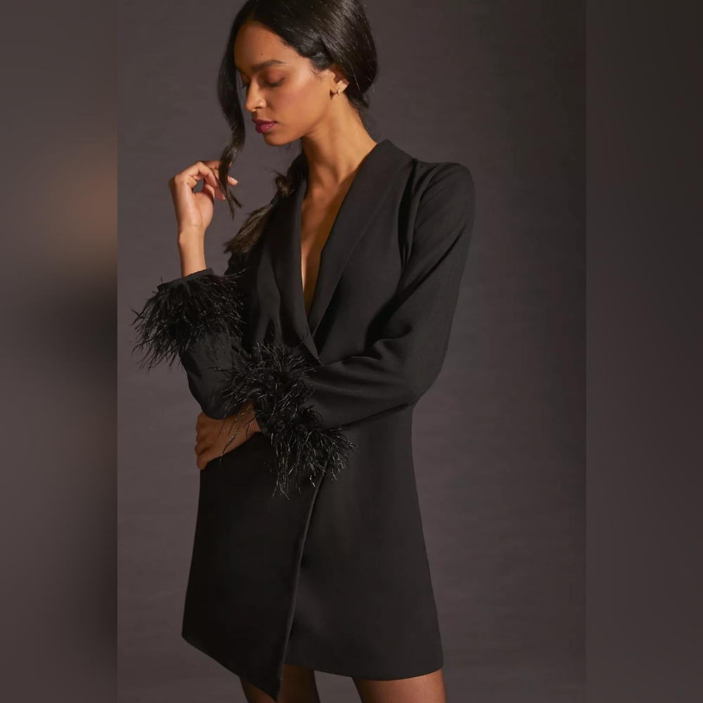 NWT: Elegant Black Long-Sleeve Feather Cuff Dress